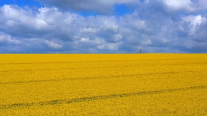 美丽的自然景色