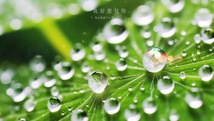 简约绿色