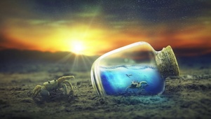 The world