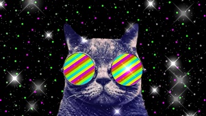 眼镜猫