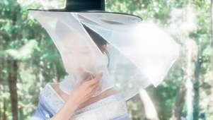 侠女柔情
