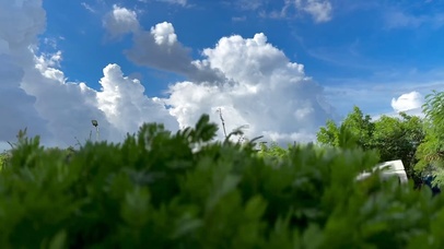 夏