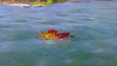 每一帧都是回忆