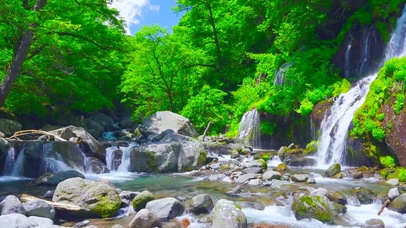 夏日绿林山涧