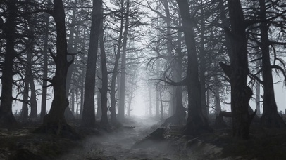 4K穿越恐怖森林~