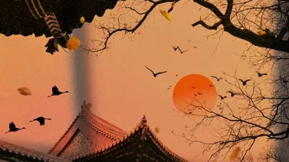 倦鸟归栖，自由与焦虑齐飞