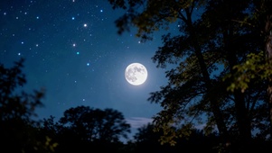 星夜月色