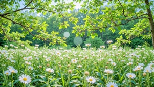 绿色护眼开满鲜花的草地