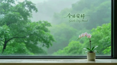 雨天窗景兰花