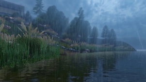 夜晚的雨