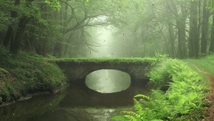 小桥