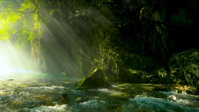 幽静的清晨流水