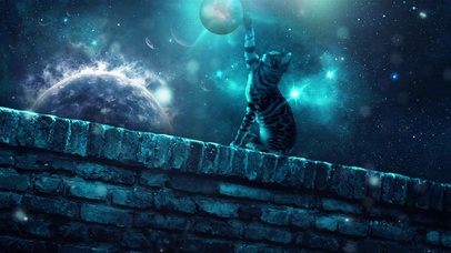 云和月都曾爱过你