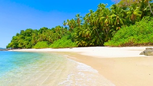 椰树海浪海滩