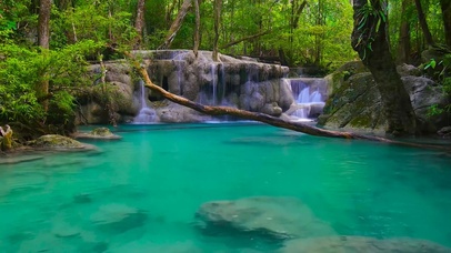 4K热带雨林碧水瀑布