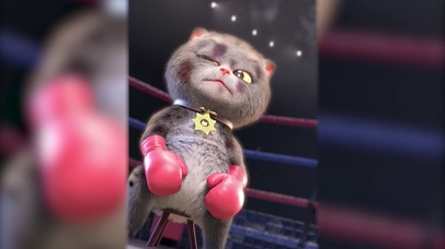 班布猫-出众or出局