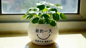 新的一天