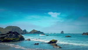 海