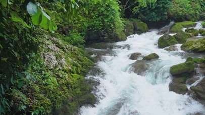4K深山野溪瀑布水流小河