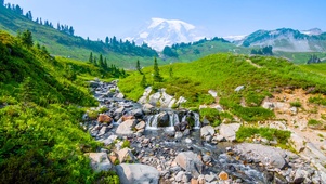 高山溪流
