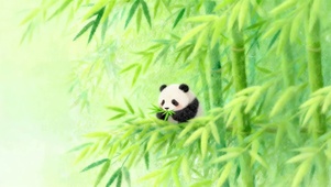 竹林可爱熊猫