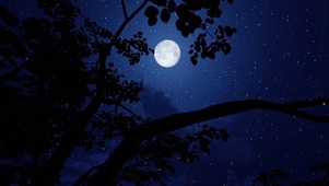 静夜