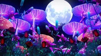 唯美治愈梦幻星空花海