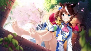 【赛马娘】东海帝王の奖励