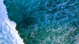 浪花