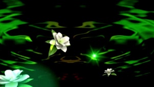 茉莉花舞台LED