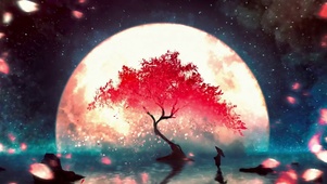 樱花树下