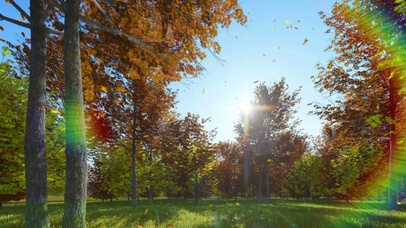 绿色护眼桌面光影