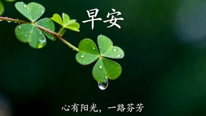 一路芬芳