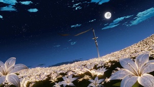 Lunar Garden