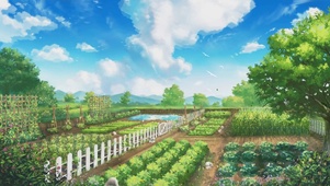 山间田地