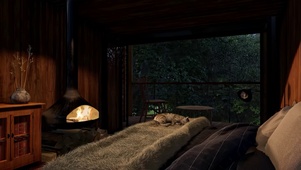 舒适森林雨夜睡觉环境