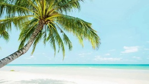 治愈风景 蓝天下的海边