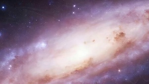 奇幻星云带鱼屏