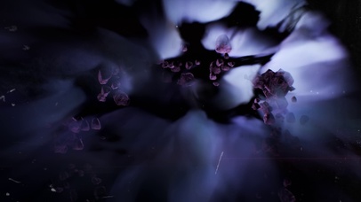 幽影1