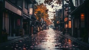 秋日城市静谧阴雨街道