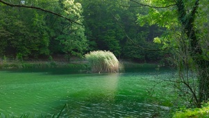 自然护眼山间绿林湖