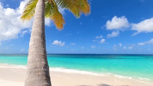 椰树海滩海浪