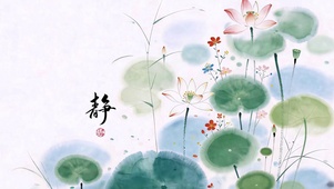 水墨荷间  静心