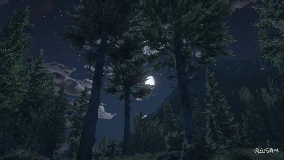 月夜松林夜景，高大深绿针叶乔木矗立，星点布满暗蓝夜空。