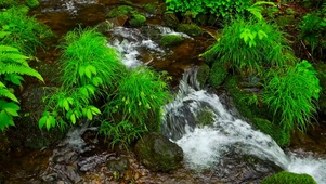 清凉溪水