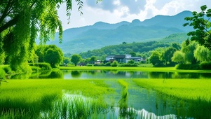 绿色护眼田园山水