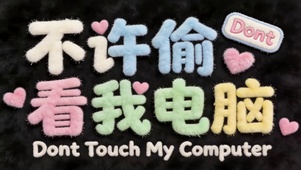 不许偷看我电脑