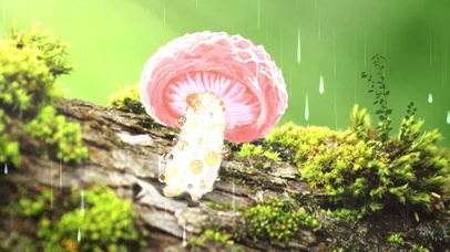 酷炫蘑菇