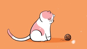 顽皮的猫咪
