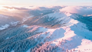 粉色晨光雪山林海